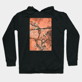 Old cracked painted texture Hoodie